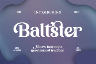 Baltster: A Bold Choice for Digital Branding