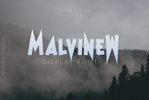 Malvinew: The Bold Font for Impactful Digital Campaigns