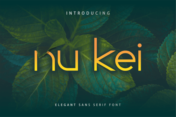 Nu Kei Font for Professional Branding
