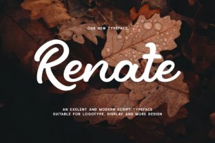 Renate: A Bold Display Font for Digital Branding