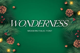 Wonderness: A Font That Elevates Your Campaigns